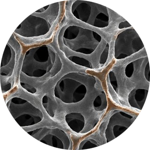 Porous LIG material structure used for gas sensing